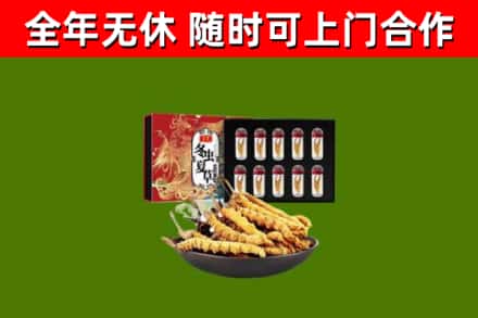 沧州回收冬虫夏草价格